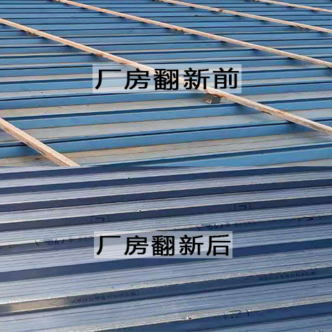 港澳六台联盟宝典大全