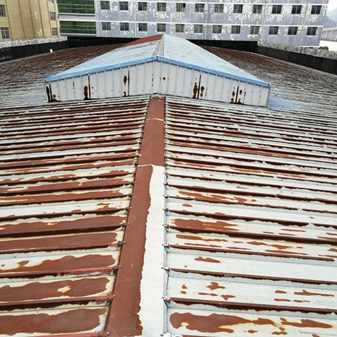 港澳六台联盟宝典大全