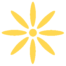 港澳六台联盟宝典大全